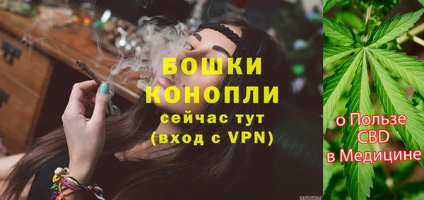 спиды Бородино