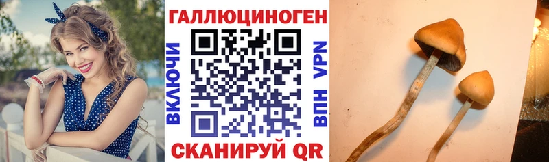 Псилоцибиновые грибы MAGIC MUSHROOMS  Славянск-на-Кубани 